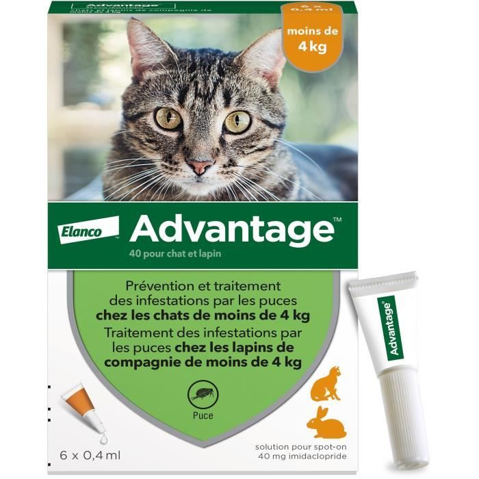 Advantage antipuce rabbit chat solution 1 to 4kg 6 pipettes