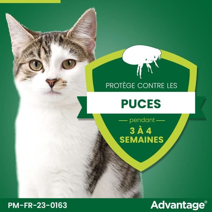 Advantage antipuce rabbit chat solution +4kg 4 pipettes