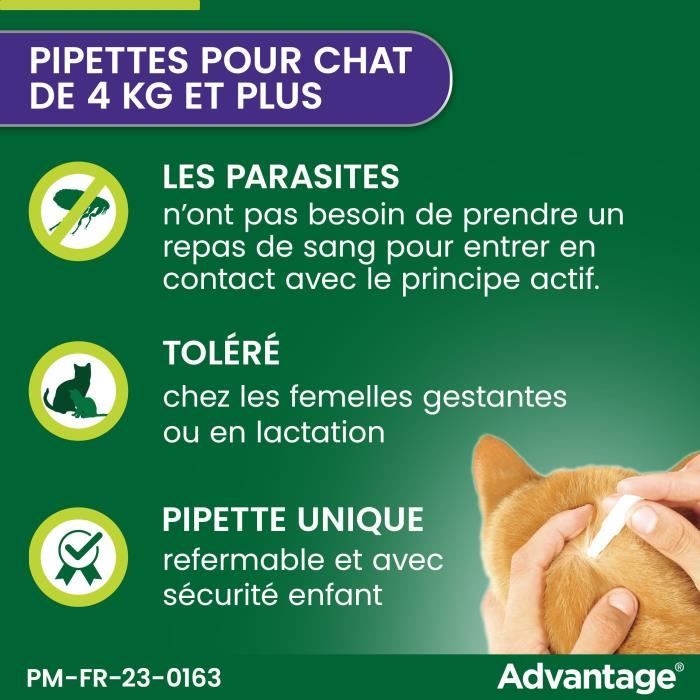 Advantage antipuce rabbit chat solution +4kg 4 pipettes
