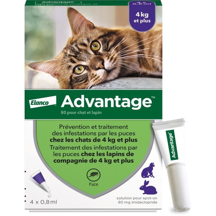 Advantage antipuce rabbit chat solution +4kg 4 pipettes
