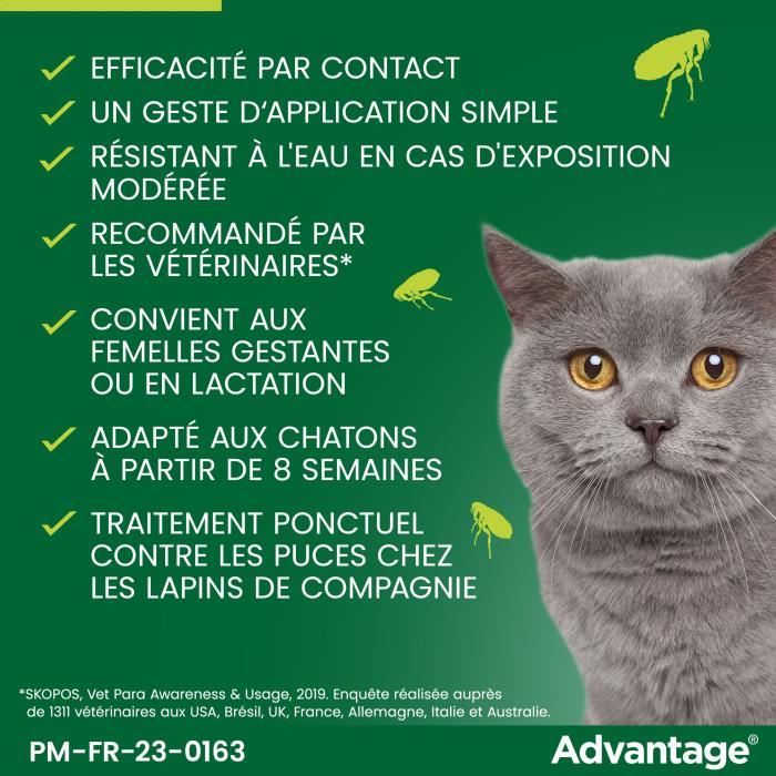 Advantage antipuce rabbit chat solution +4kg 6 pipettes