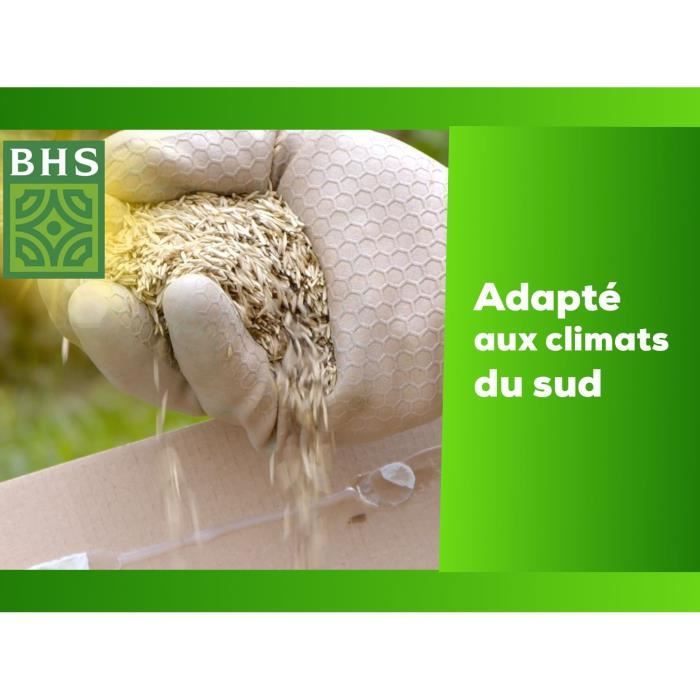 Lawn - BHS - Rustic South Lawn - 1kg, 40 m². Resistant to dry conditions thanks to tall fescue. Fast and even.