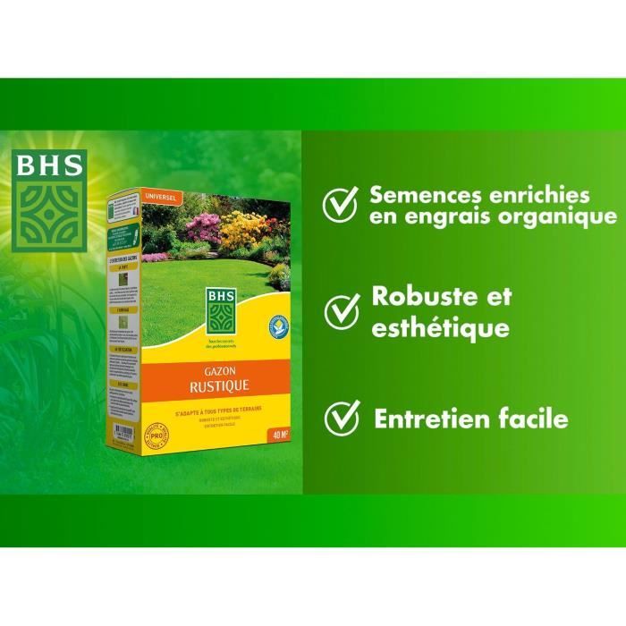 Lawn - BHS - Rustic Lawn 1 KG - Stronger and better protected - Fast and Durable - All Types of Terrain and Climates, Robust