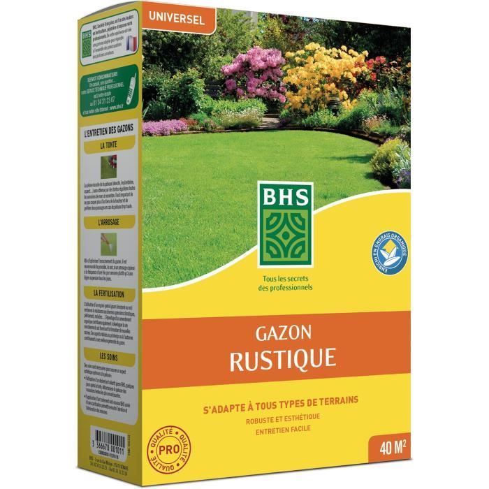 Lawn - BHS - Rustic Lawn 1 KG - Stronger and better protected - Fast and Durable - All Types of Terrain and Climates, Robust