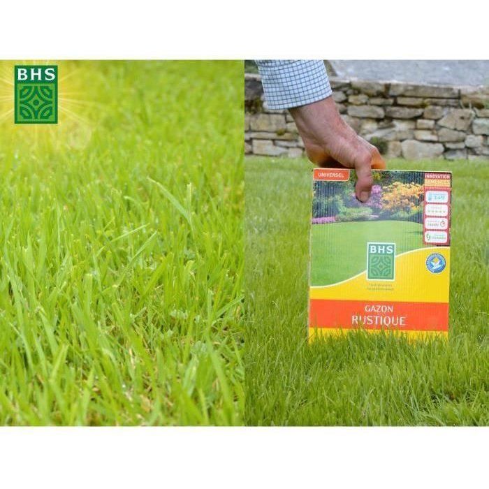 Rustic Grass - BHS - 3 kg Box - Resistant to harsh weather conditions - Sun - Red
