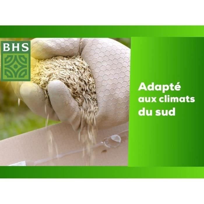 Lawn - BHS - Seaside Lawn 10kg | Resistant to wind, drought, and salt | Beautiful, attractive, and robust summer lawn.