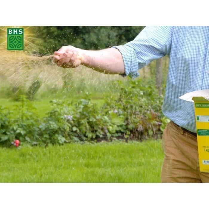 Lawn - BHS - Seaside Lawn 10kg | Resistant to wind, drought, and salt | Beautiful, attractive, and robust summer lawn.