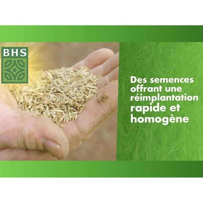 Dry Ground Replenishment Turf - BHS - 1kg | 40 m² | Strong and durable, with excellent durability and tolerance to trampling.