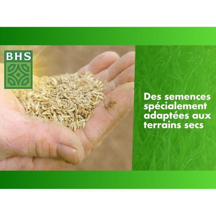 Dry Ground Regrowth Turf - BHS - 3kg | 150 m² | Strong and durable, with excellent durability and tolerance to trampling.