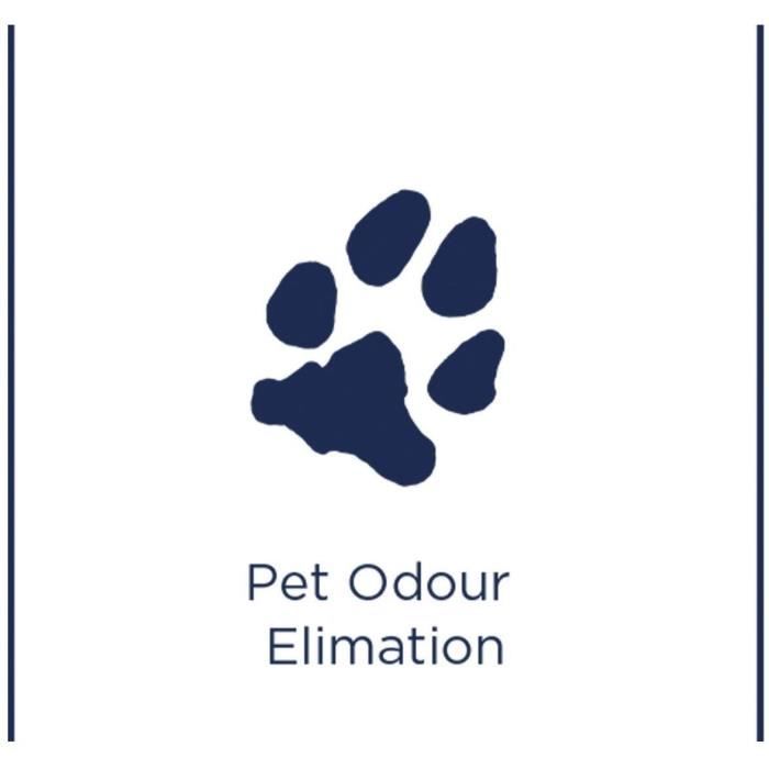 SPOT & STAIN PET 1L SPOTCLEAN SPOT CLEANER PRODUCT
