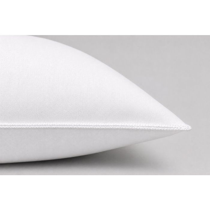 BLANREVE Set of 2 Cotton Pillows - 60 x 60 cm - White