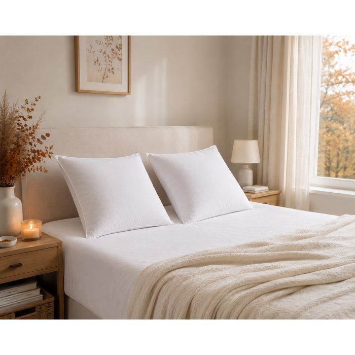 Blanreve batch of 2 triple protection pillows - 60 x 60 cm - white