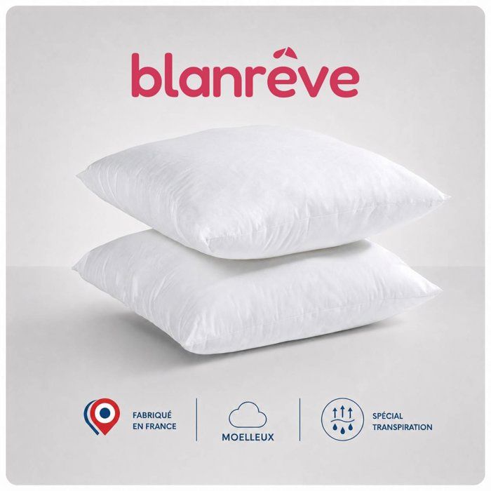 Blanreve batch of 2 pillows special perspiration - 60 x 60 cm - white