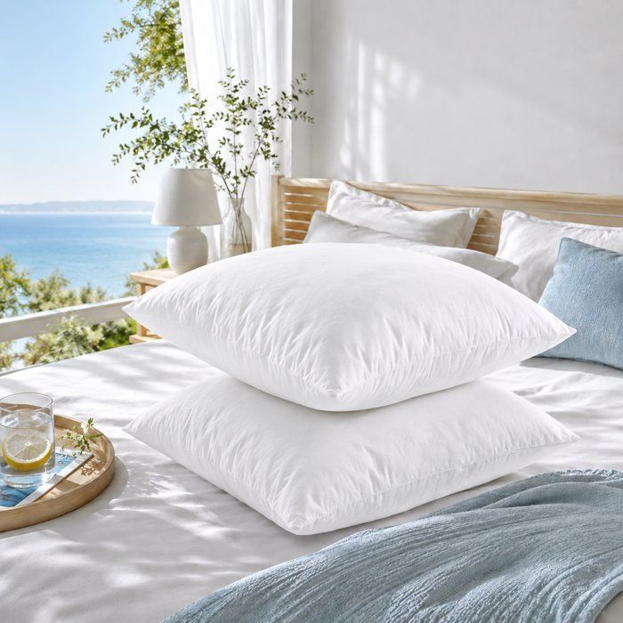 Blanreve batch of 2 pillows special perspiration - 60 x 60 cm - white