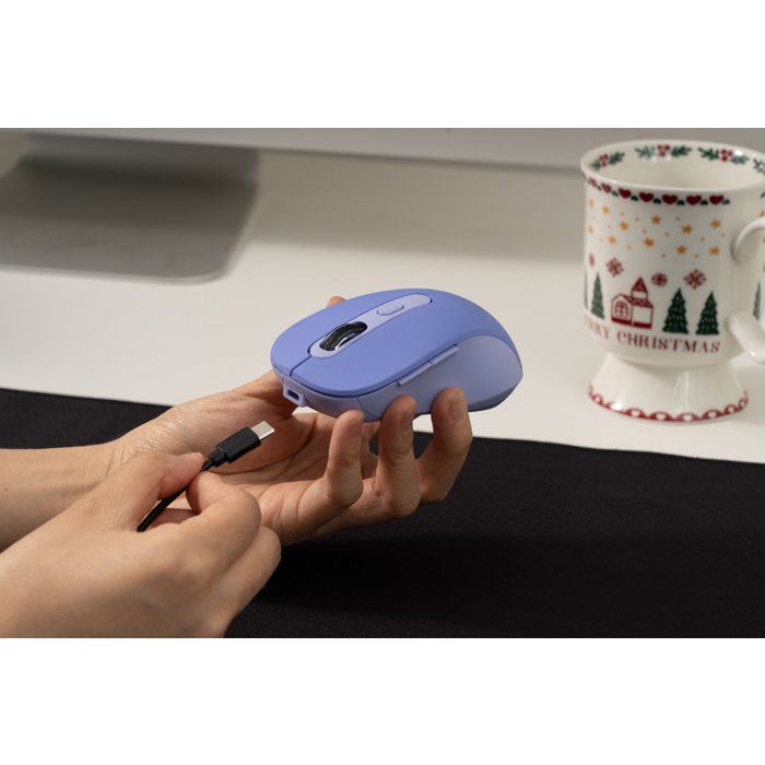 Souris - 2.4GHz+Bluetooth - BLUESTORK - Rechargeable 4800 DPI - P