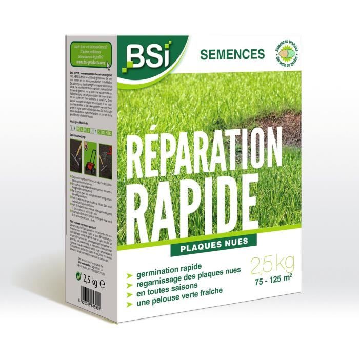 BSI - Grass Seeds - Quick Repair - With Protective Coating - High Quality - up to 125m² - 2.5Kg