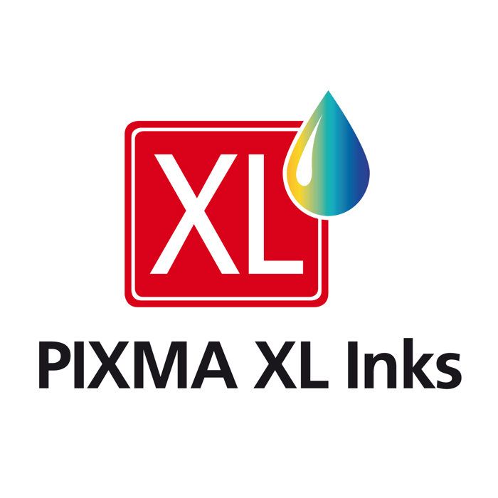 Pack of 2 ink cartridges + photo paper pack - CANON - PG-545XL Black + CL-546XL Color - High yield