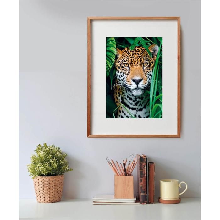 CLEMENTONI - Compact 500 pieces - Jaguar in the jungle