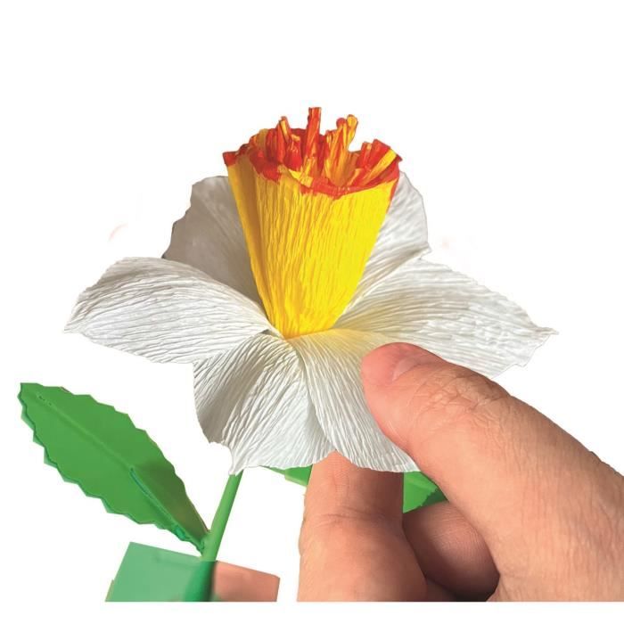 CLEMENTONI - Create your flowers - Narcissus