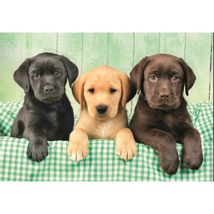 CLEMENTONI - Compact 1000 pieces - Three Labs