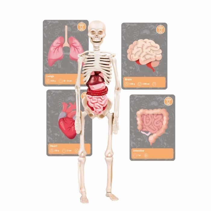 Clementoni - Science and gaming - The history of life on Earth - Virtual Reality - More than 50 experiments - Made in Italy