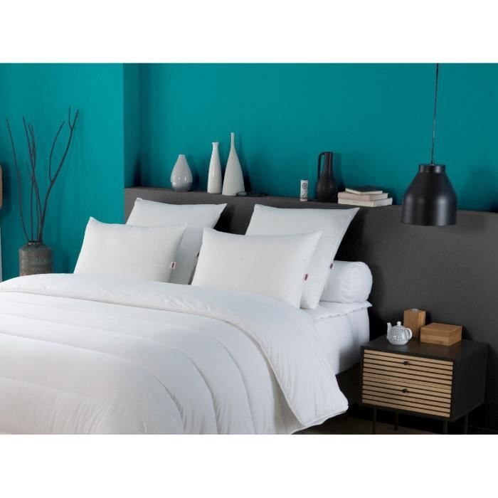 Set of 2 Trendy pillows 50x70 cm - 100% Polyester - DODO