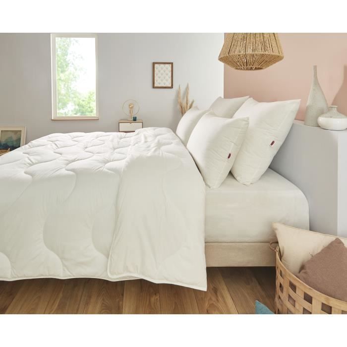 Duvet 220x240 cm DODO CHAMPS DE LIN - Warm - 450G/m² - Duvet for 2 people - Soft and Warm - Anti-mite Antibacterial - White