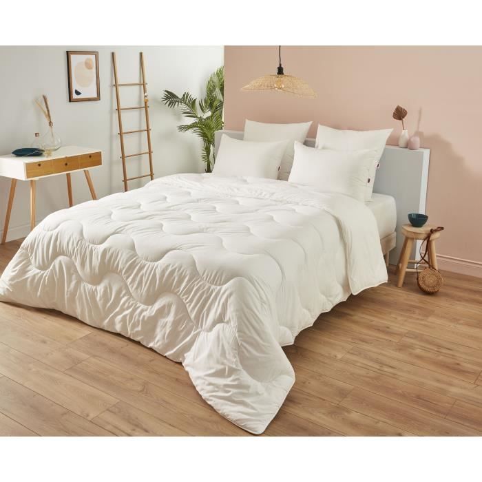 Duvet 220x240 cm DODO CHAMPS DE LIN - Warm - 450G/m² - Duvet for 2 people - Soft and Warm - Anti-mite Antibacterial - White