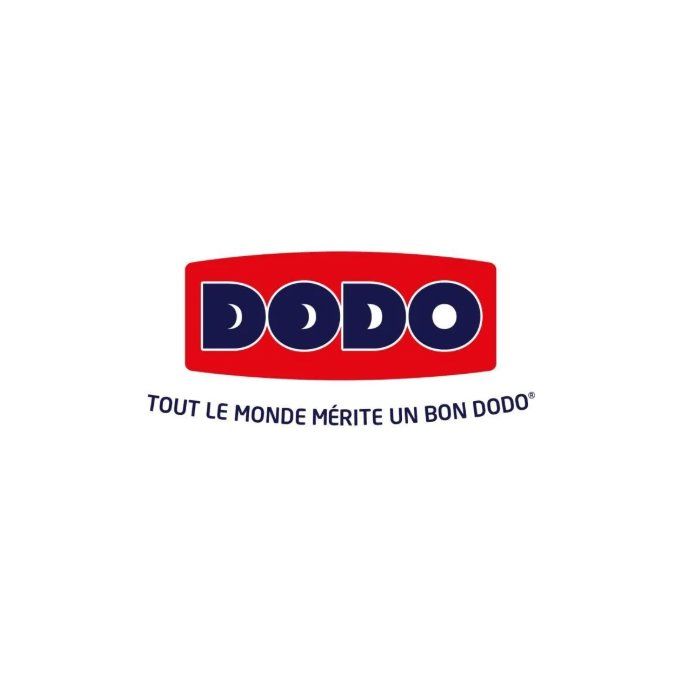 Duvet 240x260 cm DODO CHAMPS DE LIN - Warm - 450G/m² - Duvet for 2 people - Soft and Warm - Anti-mite Antibacterial - White
