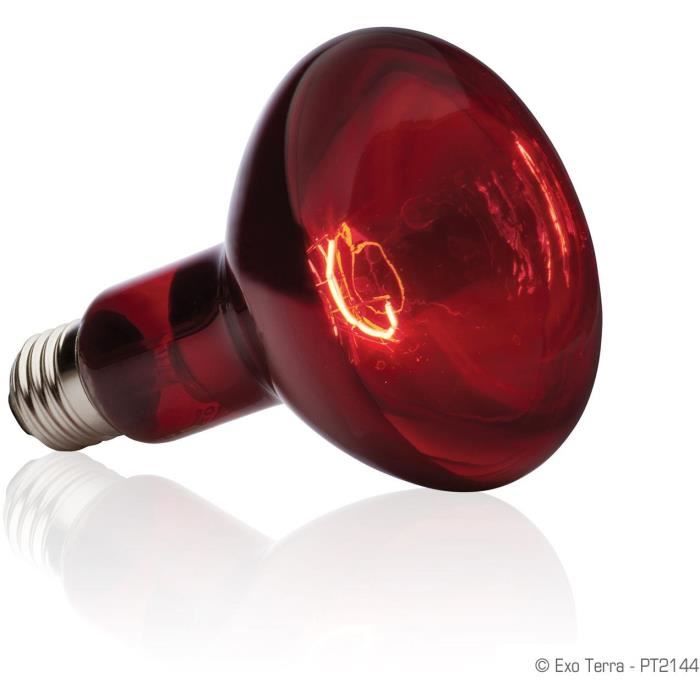 EXO TERRA Infrared Lamp Baskin Spot - 100 W - For terrarium