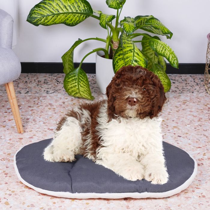 Cushion - FERPLAST - RELAX 78/8 - 78 x 50 cm - Fabric and fur