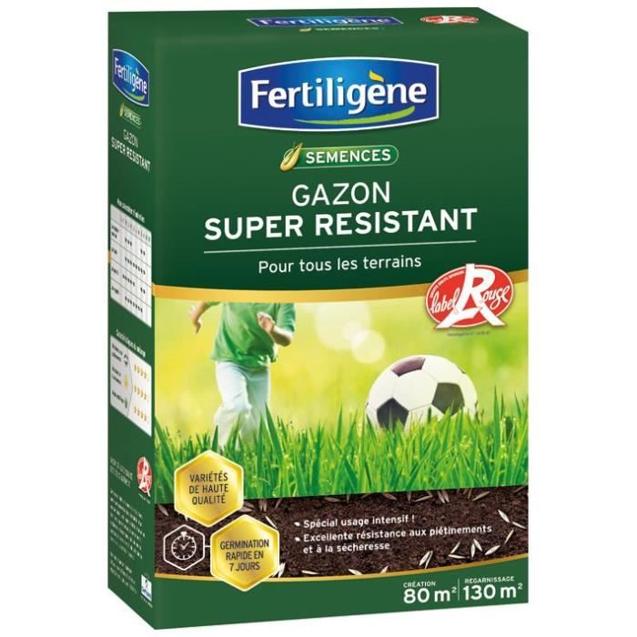 Fertiligene Super resistant grass all terrains - 2 kg