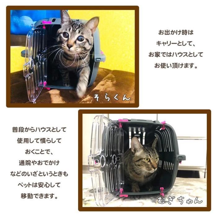 Transport basket for cats and small dogs JET 10 - Plastic - FERPLAST