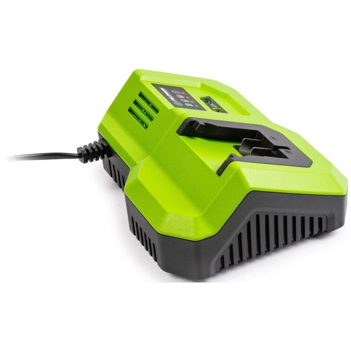 Fast charger - FIELDMANN - For 20V battery - Charges 2Ah in 30 min - Compatible with 2Ah, 4Ah, 8Ah