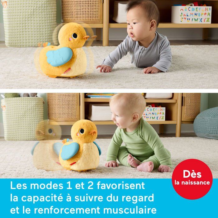 Jouet d'éveil - FISHER-PRICE - Poussin suis-moi JMX99 - Mouvement - 4 modes - Interactif