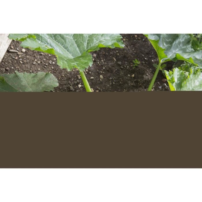Gardena Téléscopic Manche 90cm -145cm Combisystem | Tool support | Several adjustable sizes | Guaranteed 25 years (03719-20)