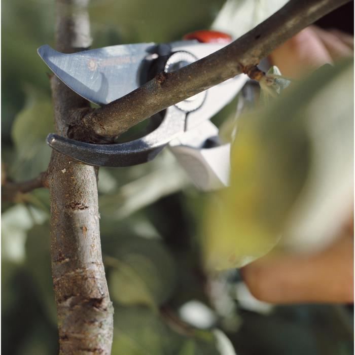 GARDENA BP SIGHT 50 Premium-Ø24mm Max-Stainless steel blades-Ergonomic handle-25 years warranty (8702-20)