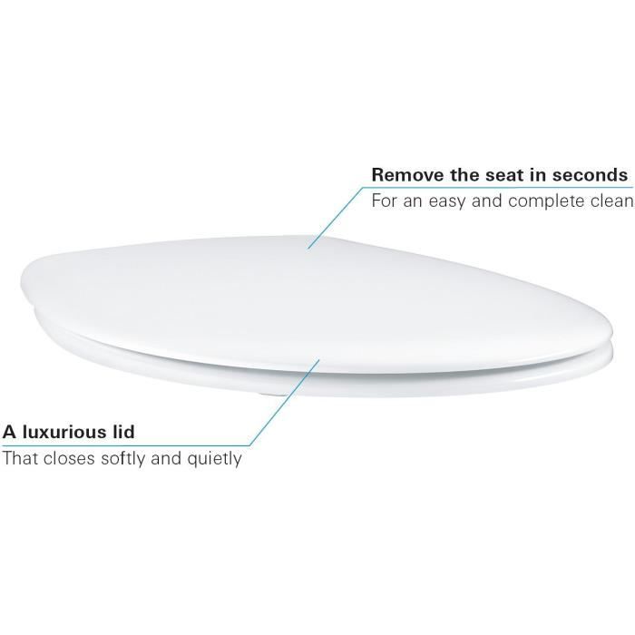 Grohe slaughtering WC Closing Brake Baux Bau Ceramic Blanc Alpin 39493000
