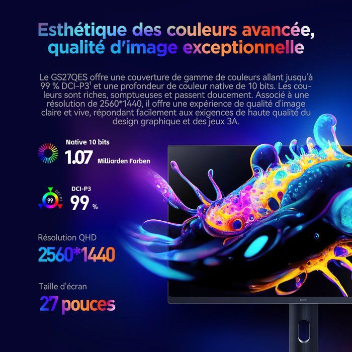 Ecran PC Gamer - HKC - 27 - QHD - 360Hz - Dalle OLED - 0.03ms - GS27QES