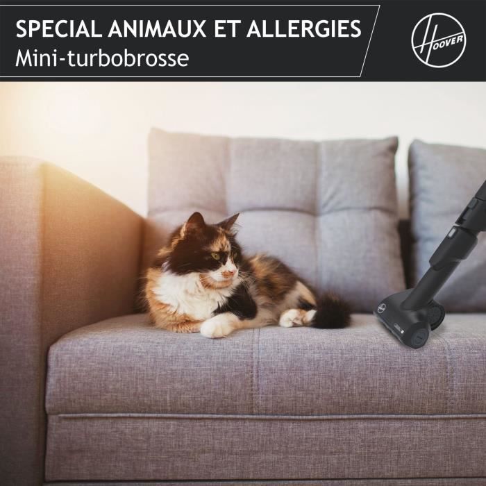 Vacuum Cleaner with Bag - HOOVER - HE530ALG - 700 W - 4 L - 65 dBA - Special animals and allergies