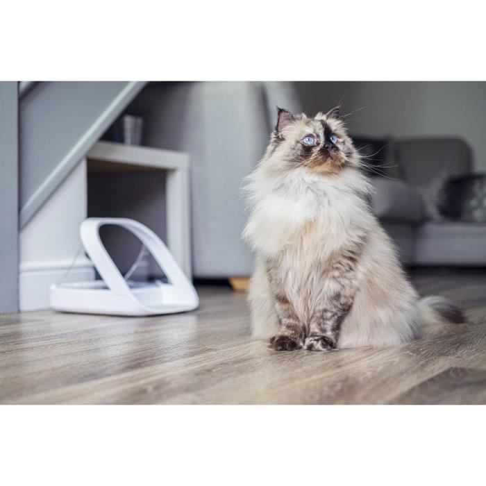 Surefeed food dispenser with connected electronic chip - white (delivered without the hub)