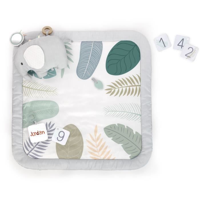 Ingenuity SPROUT SPOT Awakening Carpet - Evolutif - 8 x 102 x 102 cm - Multicolor - Birth