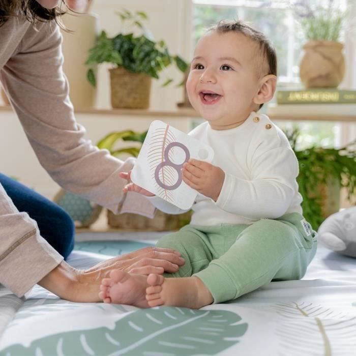 Ingenuity SPROUT SPOT Awakening Carpet - Evolutif - 8 x 102 x 102 cm - Multicolor - Birth