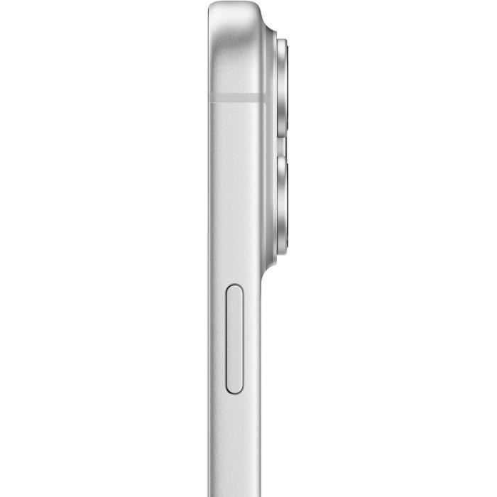 IP17PRO256SILVER