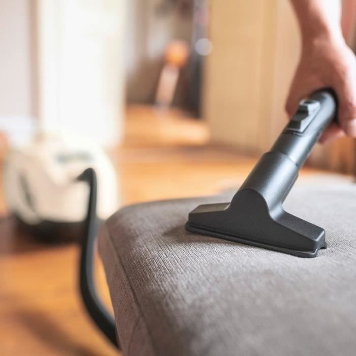 Bagless vacuum cleaner with water filtration DS 6 - white