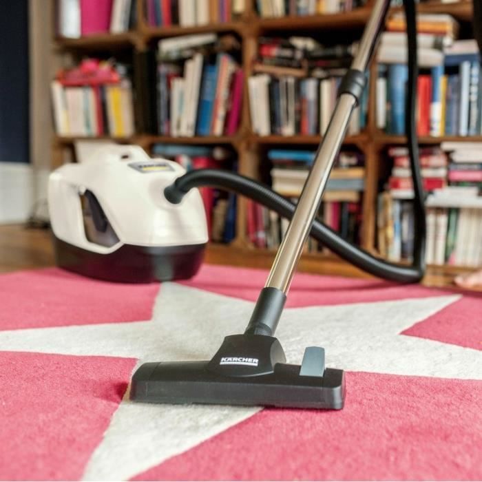 Bagless vacuum cleaner with water filtration DS 6 - white