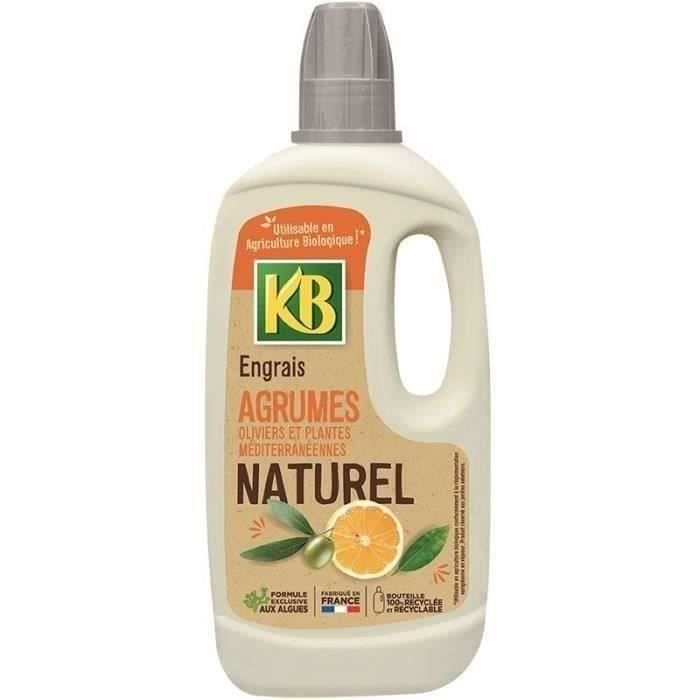 Natural citrus, olive trees and Mediterranean plants 1L