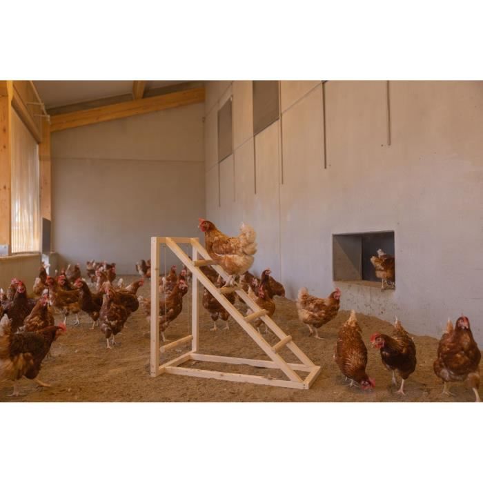 KERBL Chicken climbing tower - 85 x 55 x 76 cm - With swing - Robust ladder