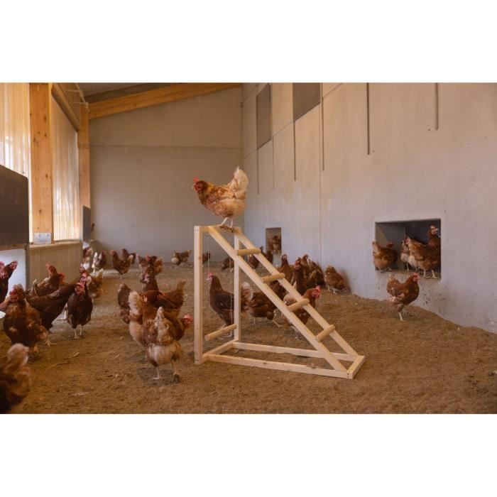 KERBL Chicken climbing tower - 85 x 55 x 76 cm - With swing - Robust ladder