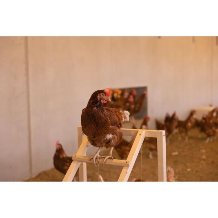 KERBL Chicken climbing tower - 85 x 55 x 76 cm - With swing - Robust ladder